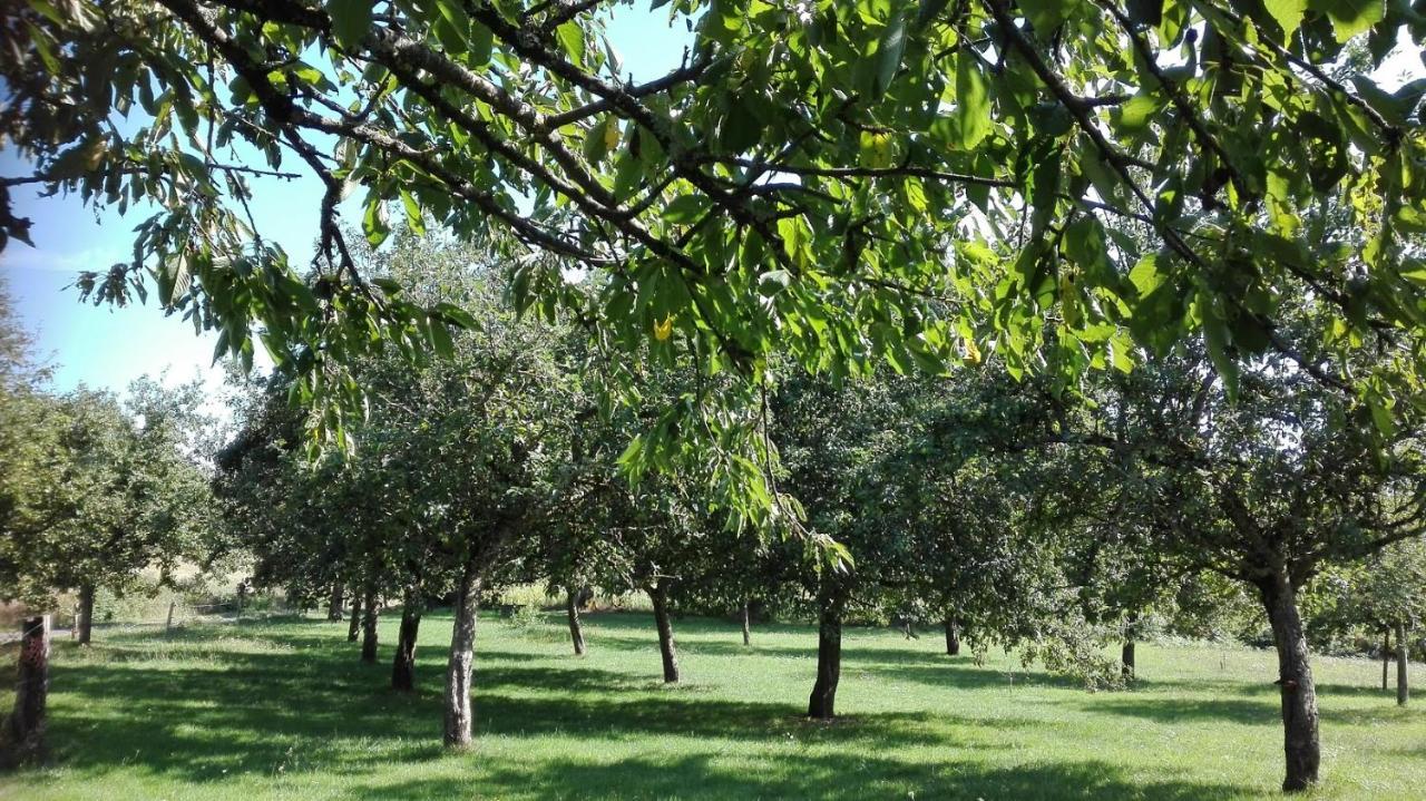 Gite La Rocherie Hambers Dış mekan fotoğraf